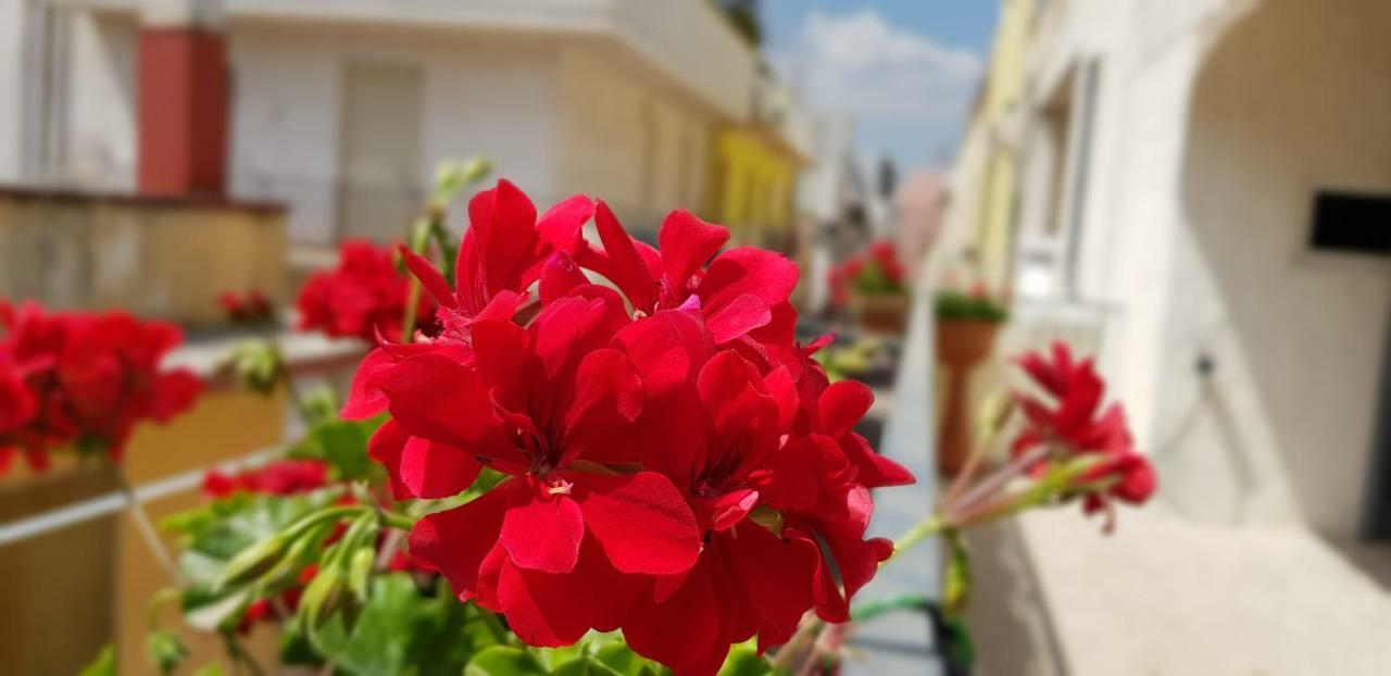 Cupersanum B&B Conversano Eksteriør billede
